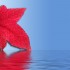 leaf leaf